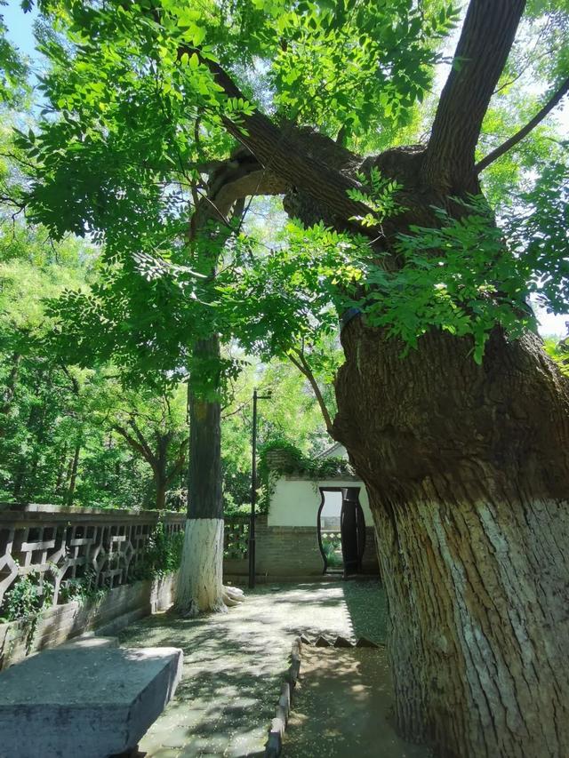 山东有座2000年前的名城，寻访李清照范仲淹们在青州古城的足迹