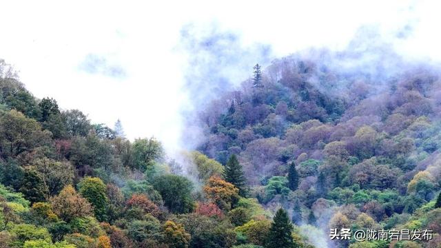 烟雨官鹅：国庆里的一轴流动水墨