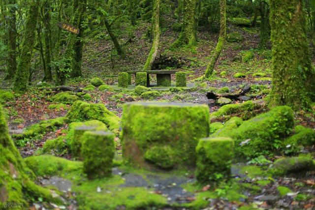 12月-2月底，6个淡季旅行优质目的地，去看纯净好风景