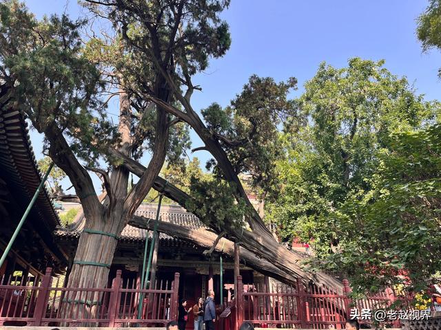 穿越千年,邂逅晋祠:在太原的“北方小江南”遇见最绝美的宋代彩塑