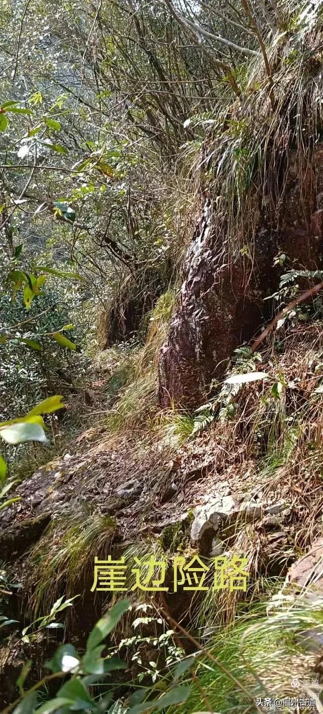 探秘楠溪江源头，深山中的秘境！