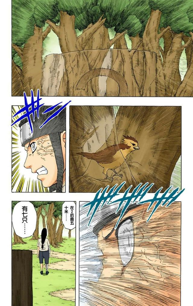 火影忍者彩漫 第二十卷 第五代火影纲手，鸣人佐助天台对决