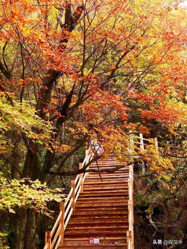 不等了！这个秋天，我就要去草川子~