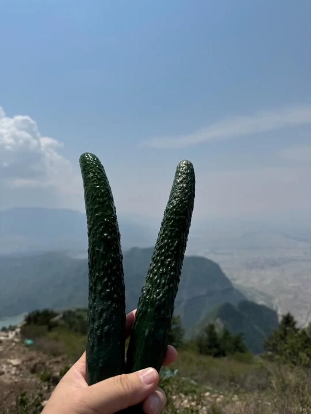 徒步三山五岳:北岳恒山+悬空寺!