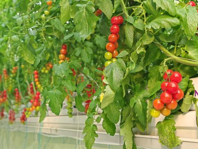 这一次，不得不去潢川了！