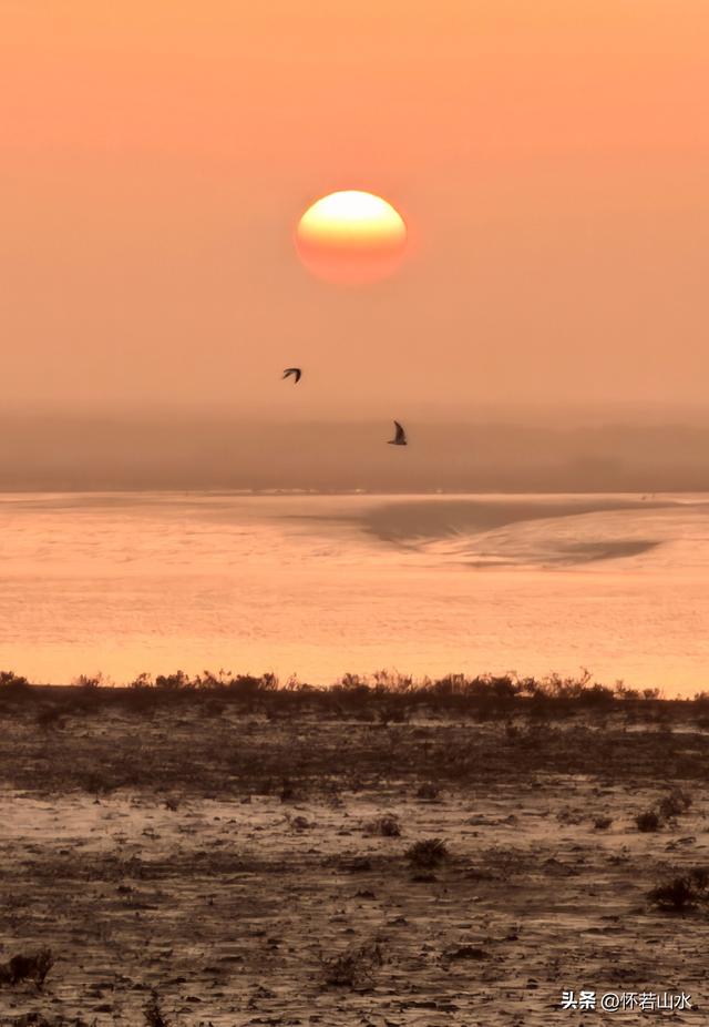 2025辽宁赏秋之旅日记(6)——到辽河口中国最北海岸线看日出 观鸟