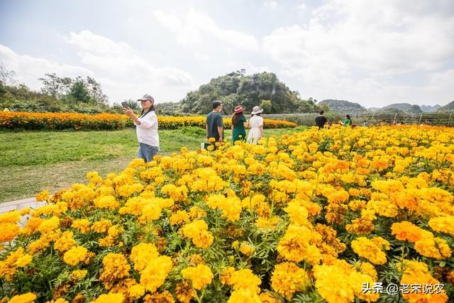 国庆假期天气，降温10度！暴雨(雪)中心已定，这些地区假日要泡汤