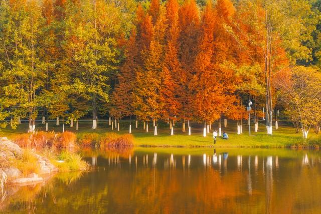 2025“中国最美十大城市”出炉，深圳第3，广州第6，大连垫底！