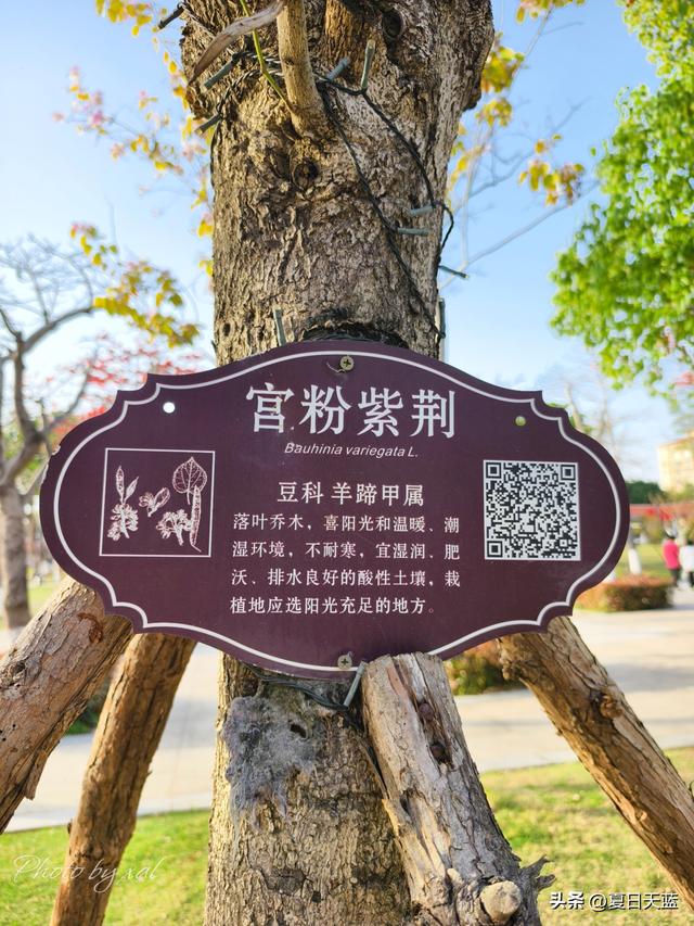 泉州旅游第一站，来到福建最强县级市，真有王炸！