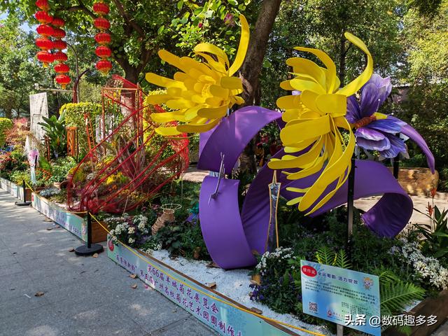 广州66届羊城菊花展，快来看打卡攻略