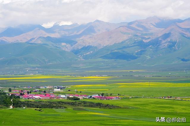 青海门源万亩油菜花海：登上四个观景点，各有风情入画来！