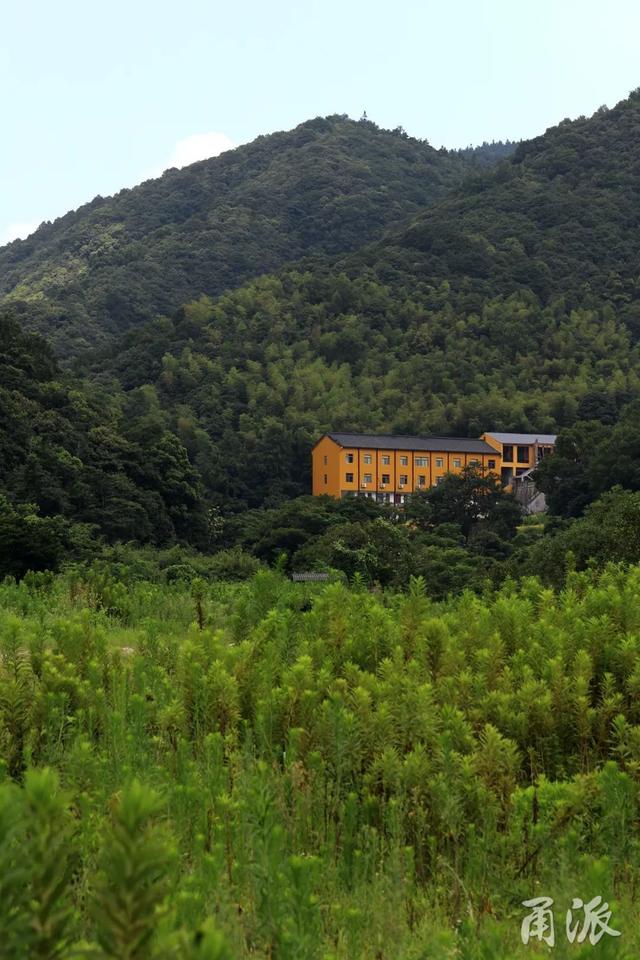这条大嵩岭古道，藏着整个夏天的秘密
