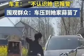 河南一大妈因蒜苗被压怒砸奔驰车后续：车主定损37000，大妈懵了图片