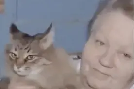 流浪猫做梦也没想到，救活一名弃婴让它上了央视新闻图片