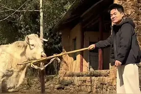 “糟糕，这熟悉的感觉又回来了”，董宇辉晒回村生活，评论区迷人图片