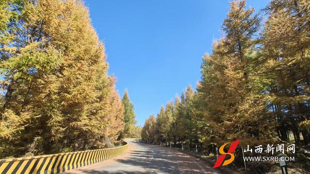 大同市左云县：秋染白羊铺彩卷 长城一号引客来