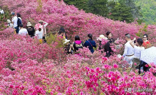 两性关系，夫妻越是喜欢分房睡，越是说明这三点。一定要重视！