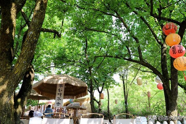 【醉美金秋 “乡”约清水】“双节”出玩指南 | 清水生态康养休闲之旅攻略来啦！