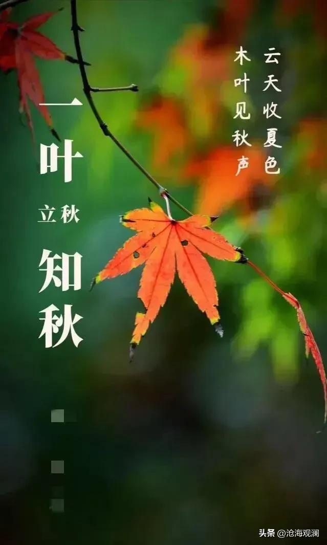 明日立秋，提醒大家：不管多忙，1不穿、2不睡、3不喝、4要吃