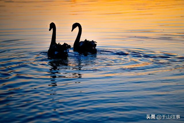 独行二十载：真正的骑行，是“全副武装”的孤勇与虔诚