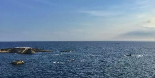 美国航母也没用！马科斯认怂	，连夜向华交底，要签南海“生死状”