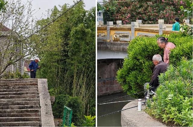 青龙白鹤水千年，古韵村居尽枕河——青浦白鹤古桥小记