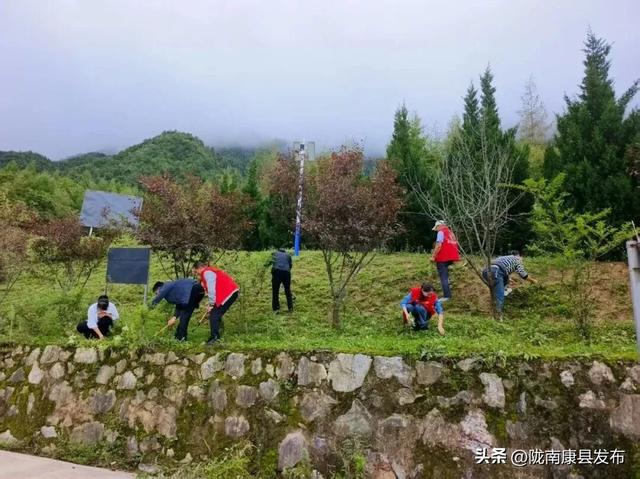康县：精心管护提品质，整洁靓丽展颜值