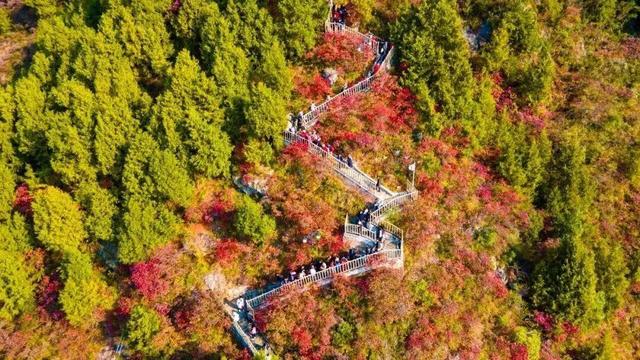 三小时郑州直达！巫山三峡龙脊徒步和漫山红叶一起向你发出邀约！