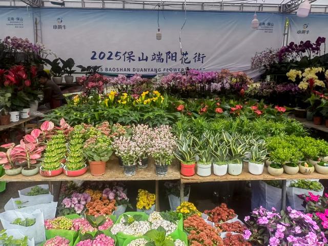 在保山观光旅游