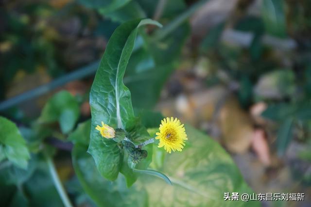 转了一个小圈·及其它