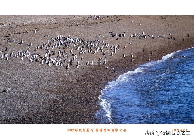 南极南美三国行游影记（79）—阿根廷旁塔汤布国家公园（六）