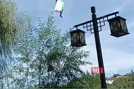 重庆一景区水上威亚游客被吊在半空，当地：已安全降下无人受伤，初查系线路问题图片