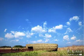 最全滇池绿道踏青春游攻略图片