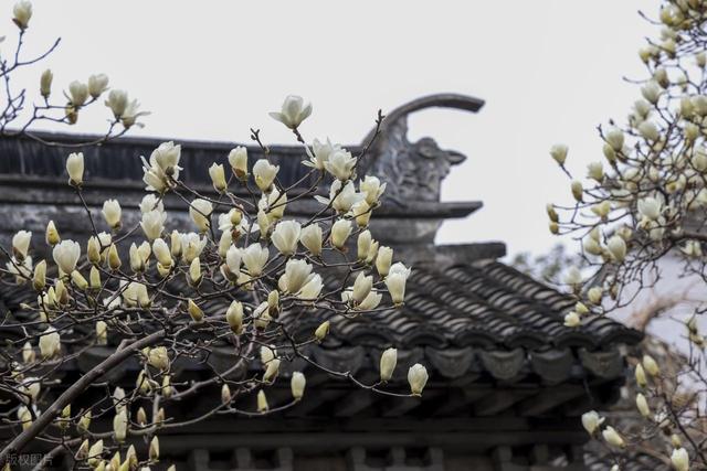 昆山 52 公里自驾环线：在江南褶皱里，遇见 2500 年的诗意与烟火