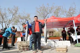 青岛购买新鲜鲅鱼热门地点推荐！附沙子口鲅鱼节活动攻略图片