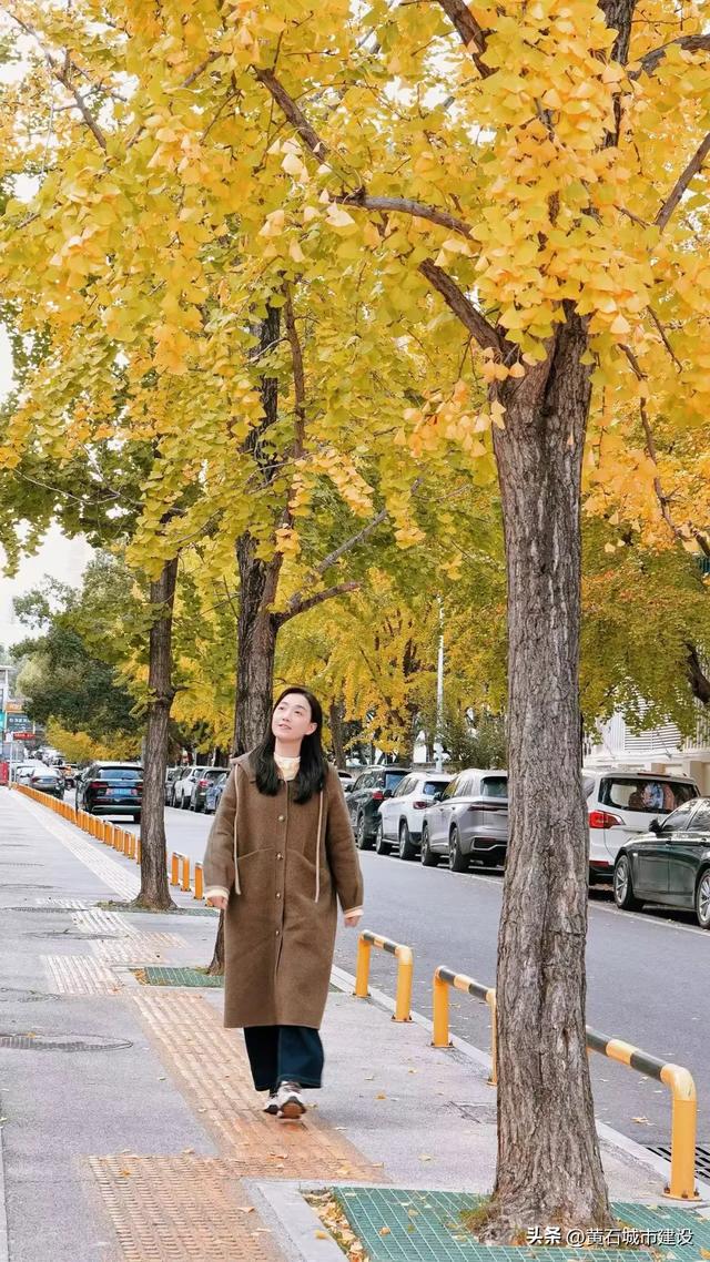 限时绝美！黄石街头颜值巅峰 周末来打卡