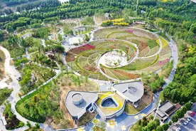 去西流湖公园打卡百亩月季“花海”，赴一场浪漫之约！图片
