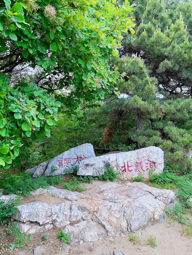 联峰望海（秦皇岛北戴河联峰山景区）