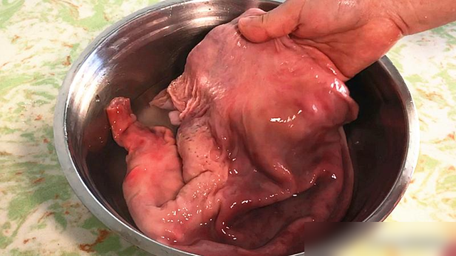 再贵也要吃，吃1斤它胜过10斤牛羊肉，健脾养胃强免疫，别错过了