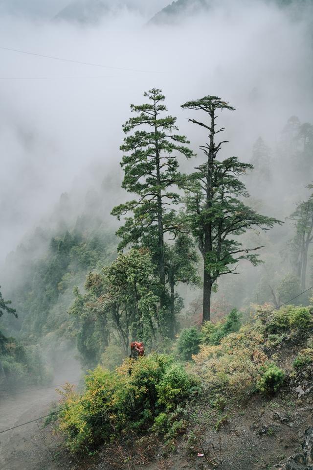 1条国道，全长10065公里，万千极致景观！50+自驾达人的终极梦想