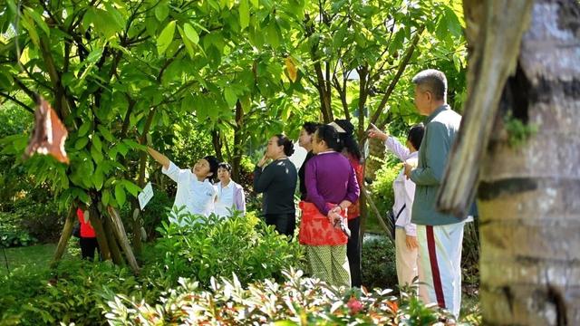 逃离冷冬！来万宁兴隆，这里25℃阳光免费