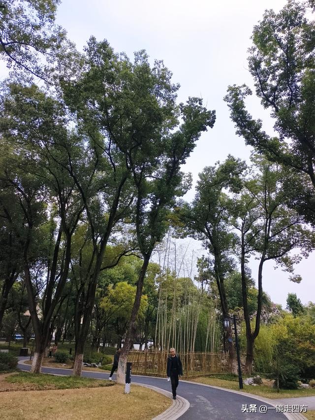 “天仙配”男主角董永是孝感第一名人，这里还有一座“董永公园”