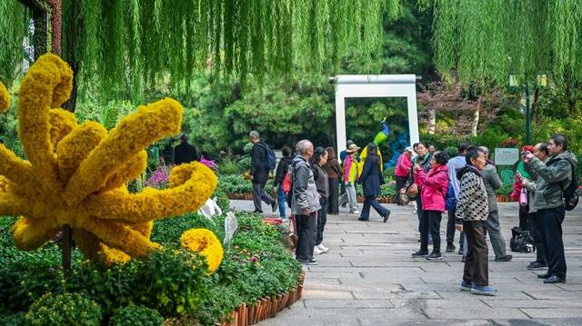 走，去趵突泉！收集秋天最靓的九宫格～