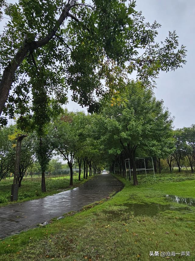 田园风光，雨中激景，风萧萧兮易水寒，深秋一去兮不复还!