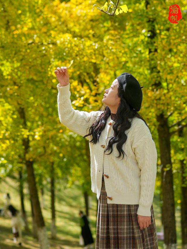 重庆中央公园的银杏黄了，奉上游玩秘籍与拍照攻略，喜欢速来