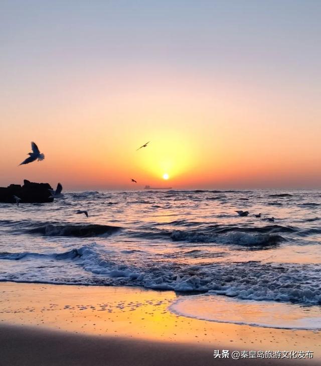这个冬天，来秦皇岛追一次朝阳！