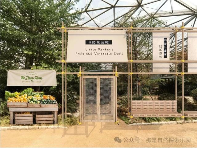 没有小角色 只有小爪爪｜首个动植物文旅社区国庆节南京开“宠”