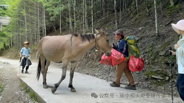 洲长有约:“垃圾洲会客厅”线上举行,关注雪山圣地清洁行动