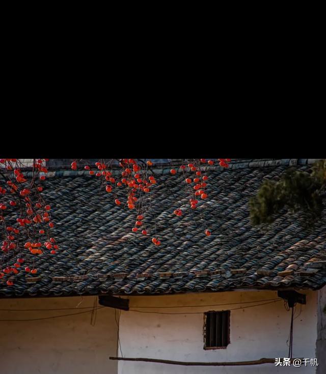 在老家的老房子里，我看到了两副棺木，妈妈说那是她们的归宿