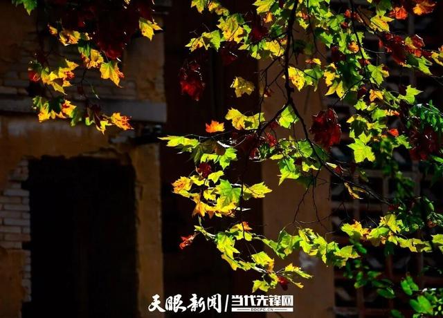 玩转贵安丨走！去贵安新区二十六厂晒太阳